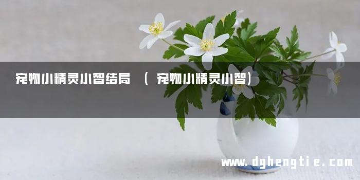 宠物小精灵小智结局 (宠物小精灵小智)